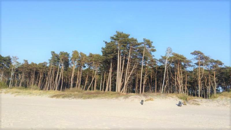 Maciejka Villa Rusinowo  Bagian luar foto